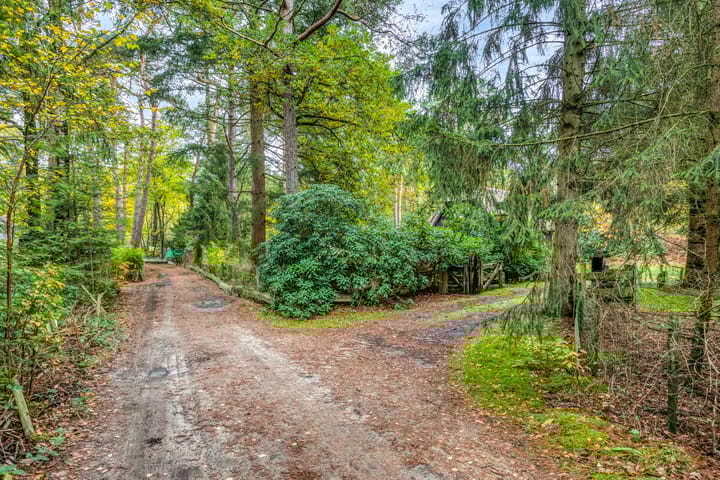 Foto 42 van Bospad 2