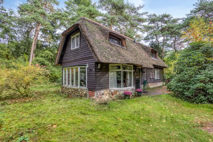 Foto 43 van Bospad 2