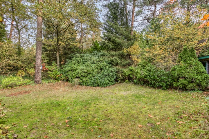 Foto 44 van Bospad 2