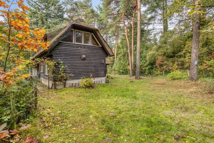 Foto 45 van Bospad 2