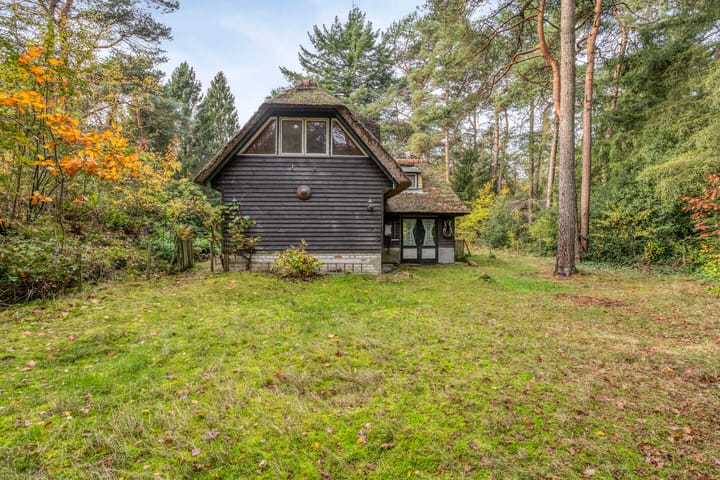 Foto 46 van Bospad 2