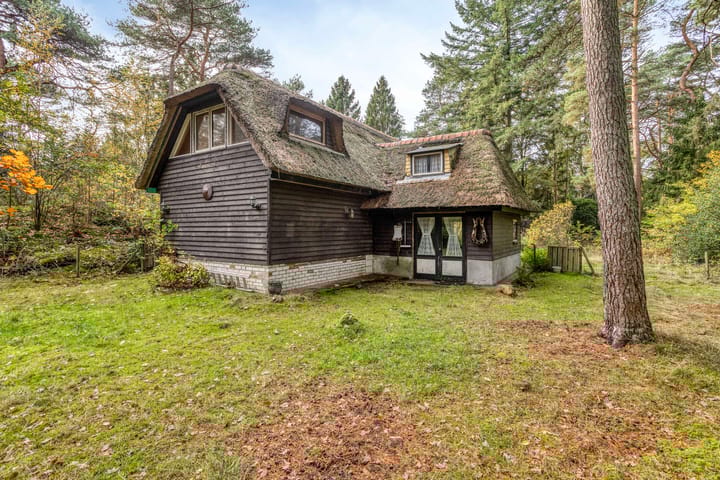 Foto 47 van Bospad 2