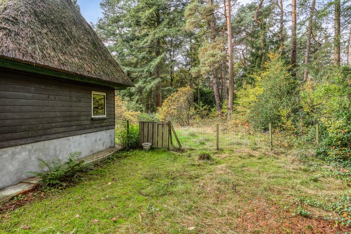 Foto 48 van Bospad 2