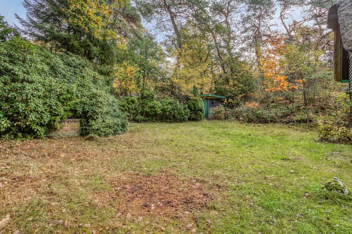 Foto 49 van Bospad 2