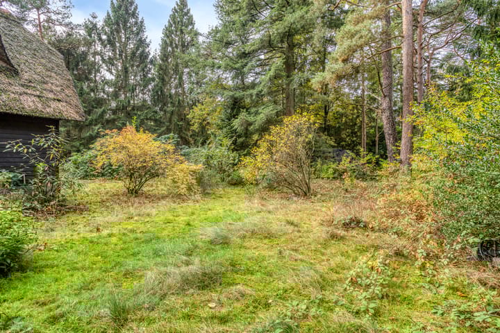 Foto 50 van Bospad 2