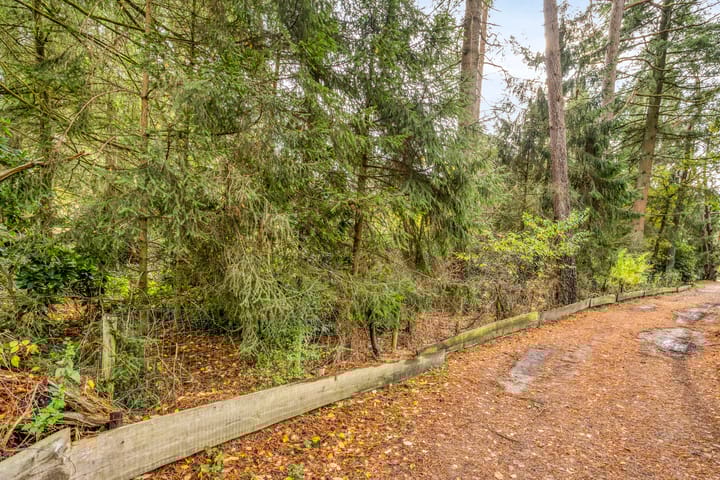 Foto 51 van Bospad 2