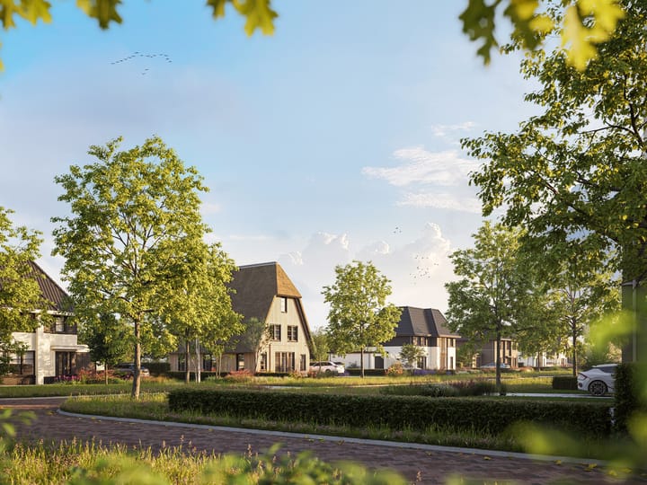 Foto 5 van Zanglijster (Bouwnr. 33)