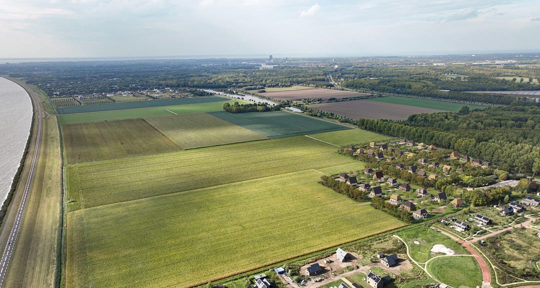 Photo 7 of Zanglijster (Bouwnr. 33)