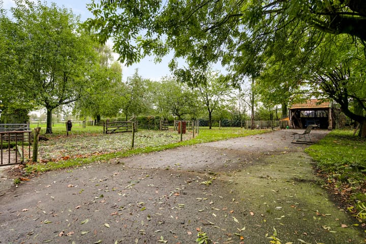 Photo 64 of Steeg 19