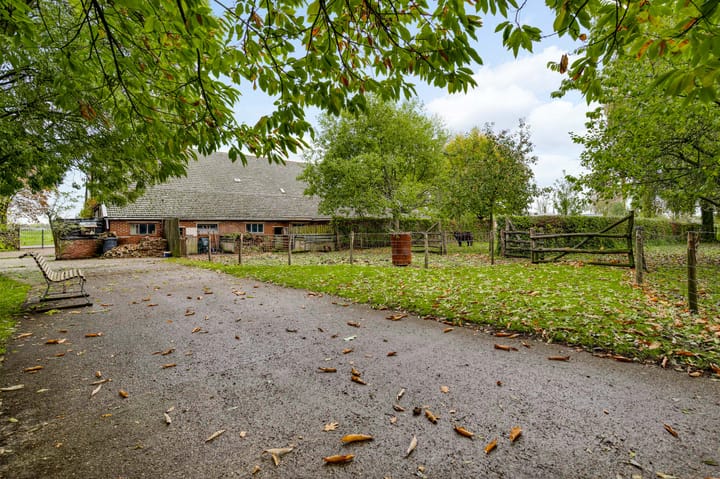 Photo 65 of Steeg 19