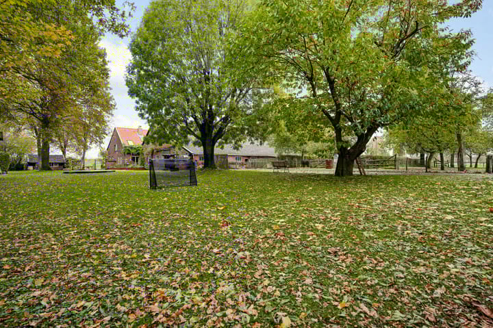 Photo 66 of Steeg 19