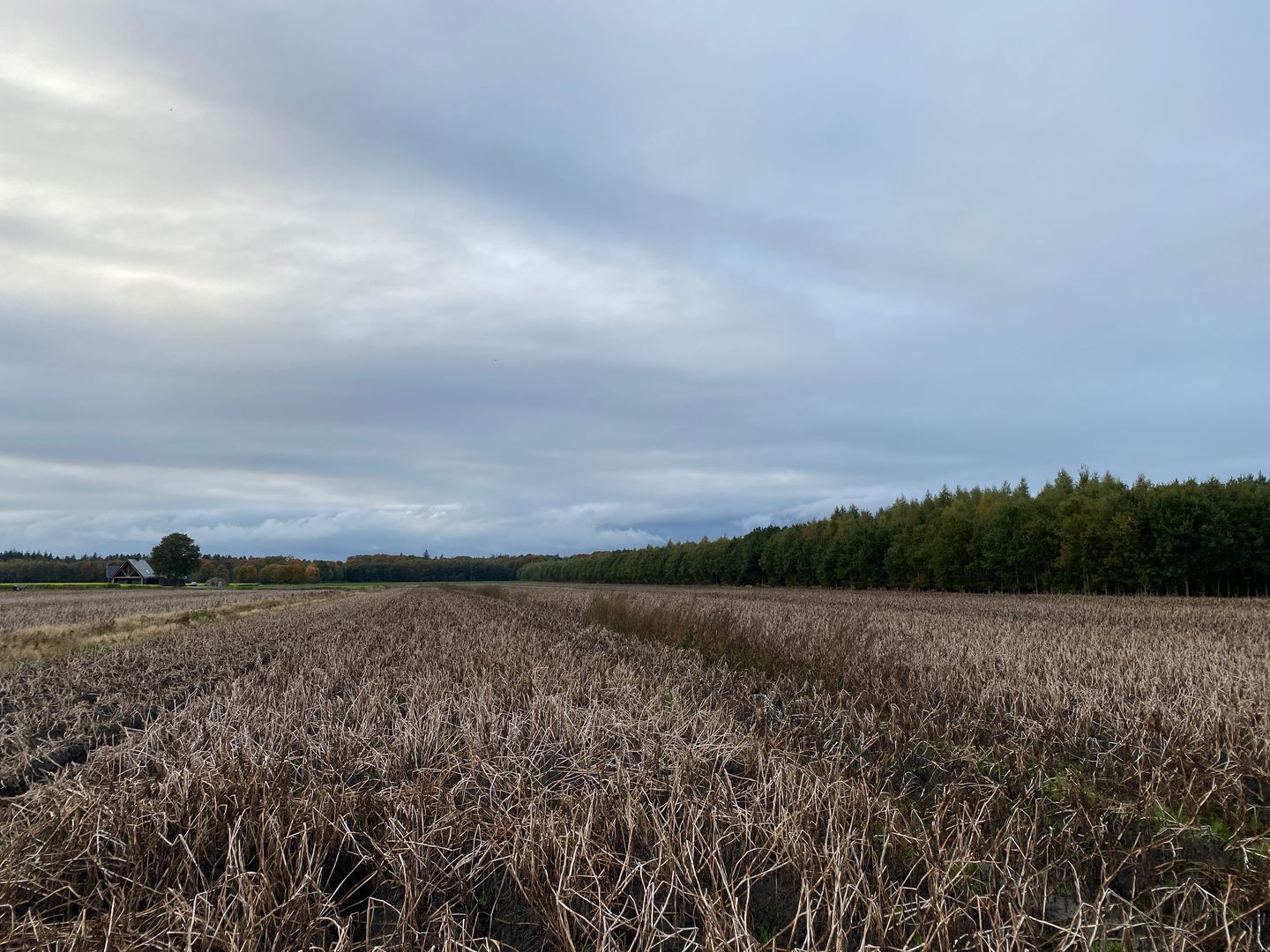 Bekijk foto 5 van Rijksweg