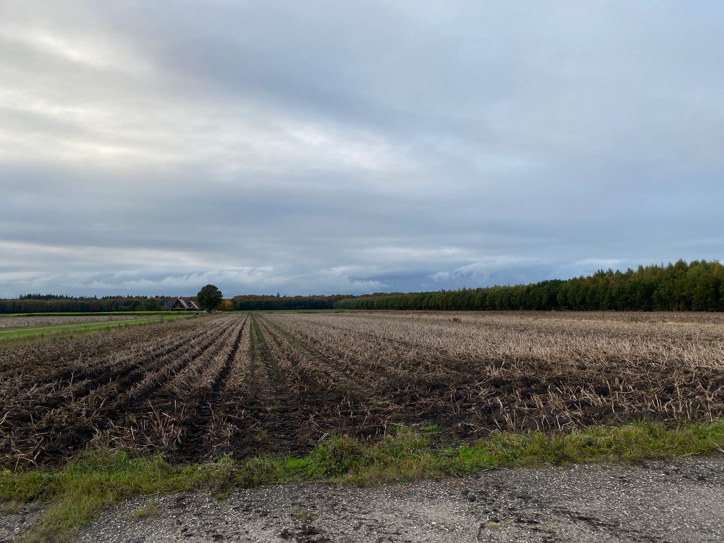 Bekijk foto 3 van Rijksweg