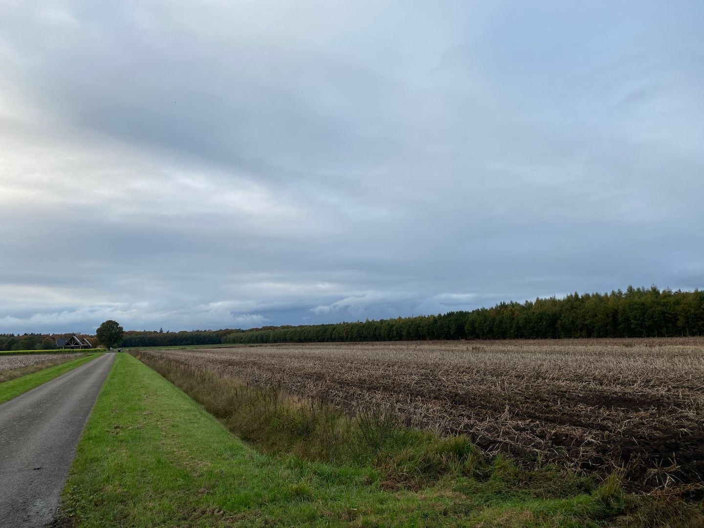 Bekijk foto 2 van Rijksweg