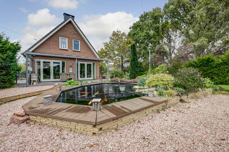 undefined main image