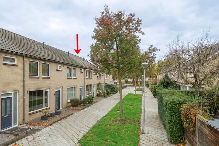 Foto 3 van Bosveld 405