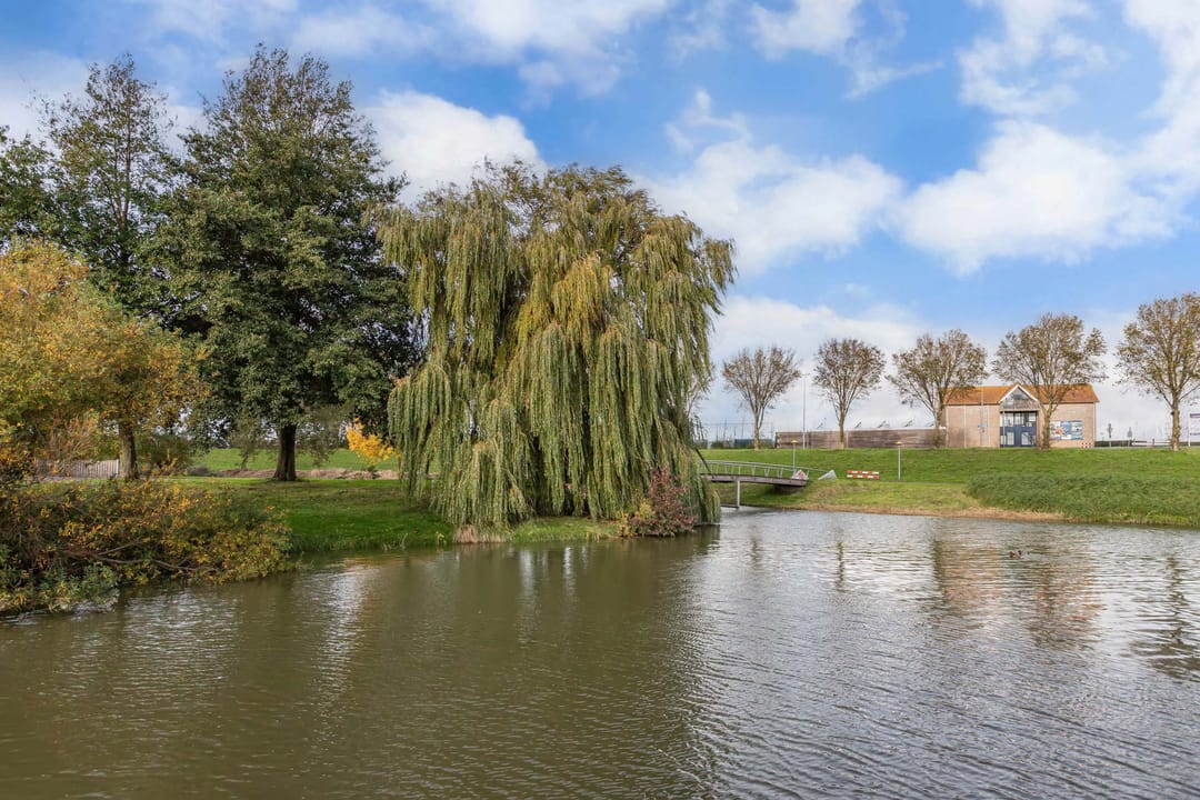 Foto 23 van Hoornse Hop 38