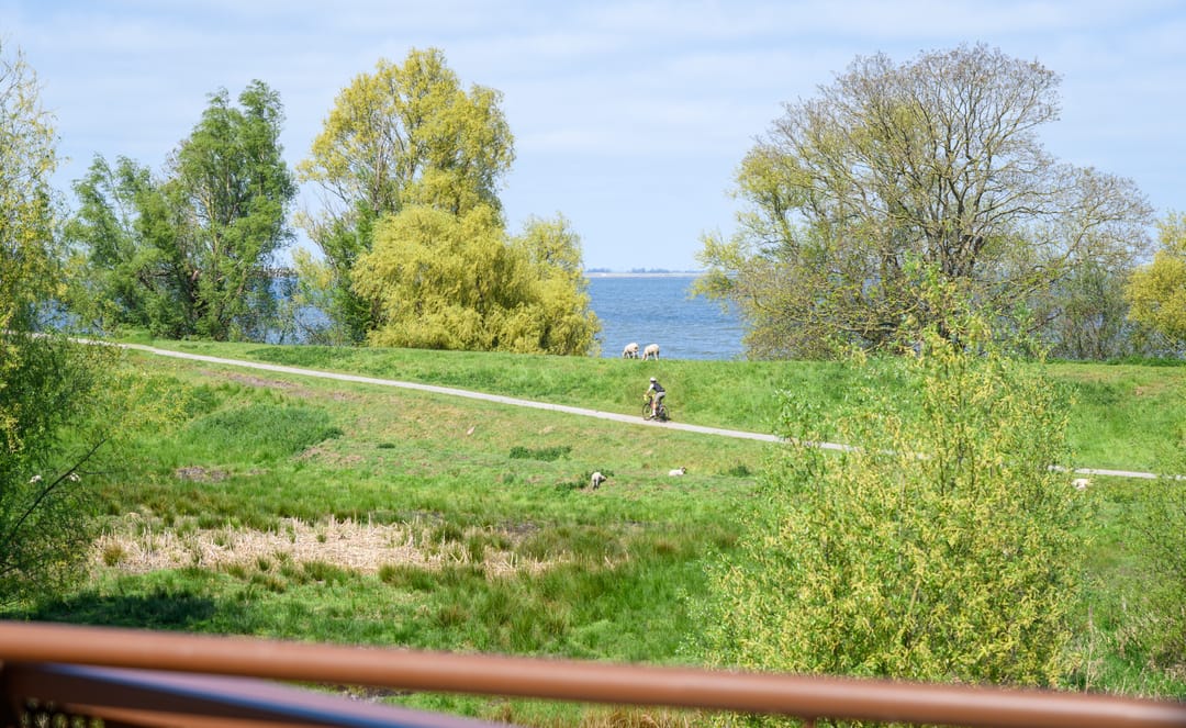 Foto 11 van De Krijgsmanlaan 76