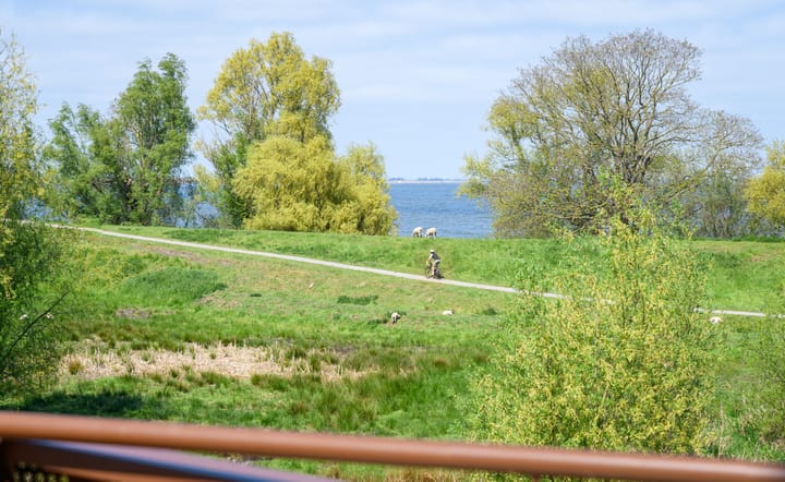 Photo 11 of De Krijgsmanlaan 76