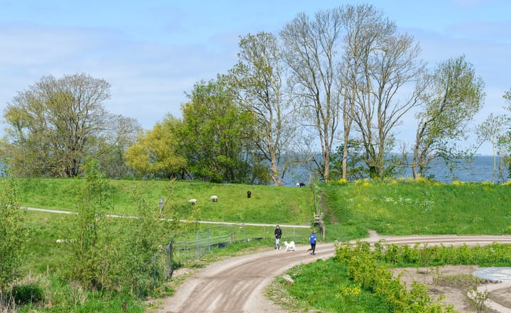 Photo 29 of De Krijgsmanlaan 76