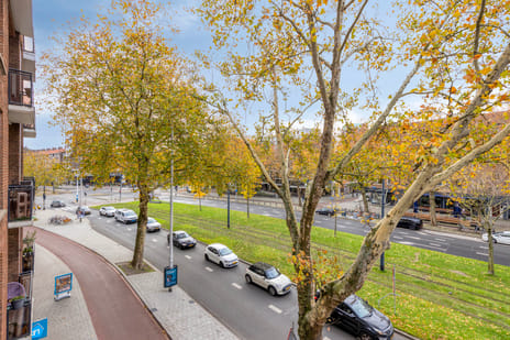 Goudsesingel 221-C tertiary image