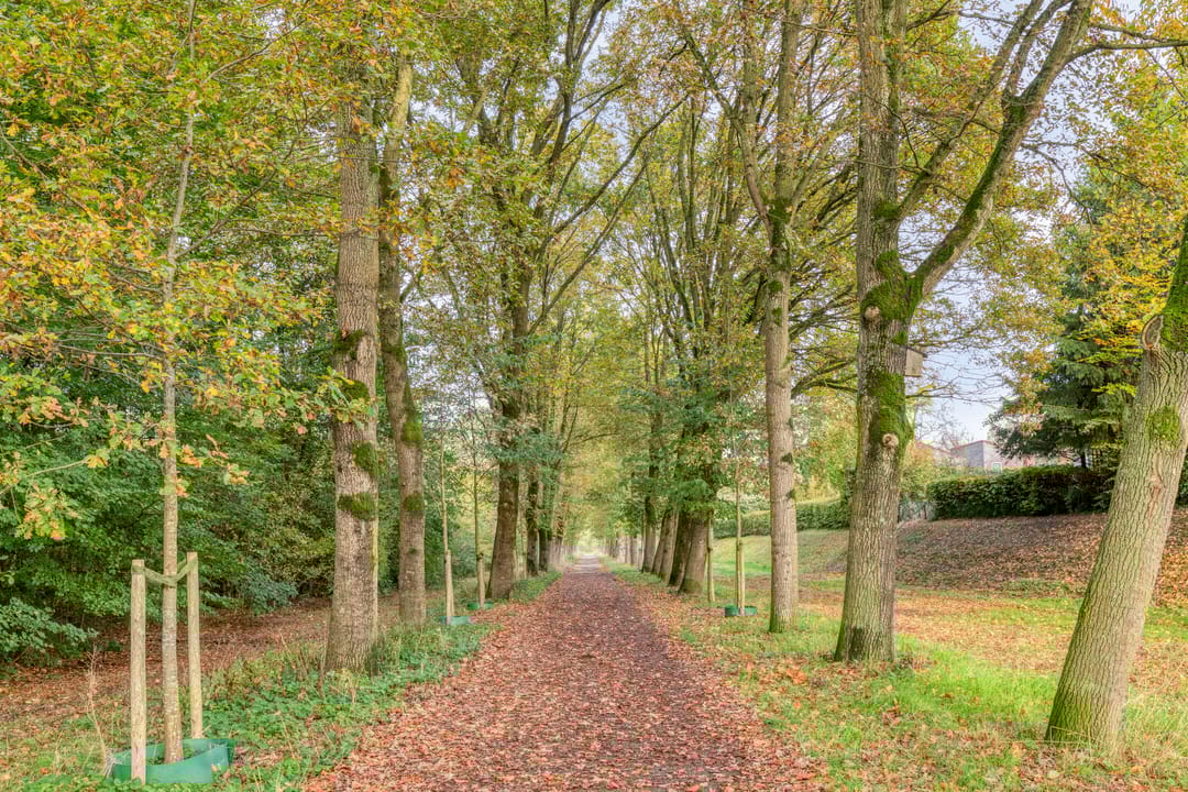 Foto 41 van Vrijdagstraat 29