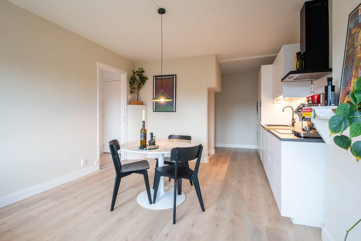 Foto 4 van Nieuwe Haagdijk 65-B