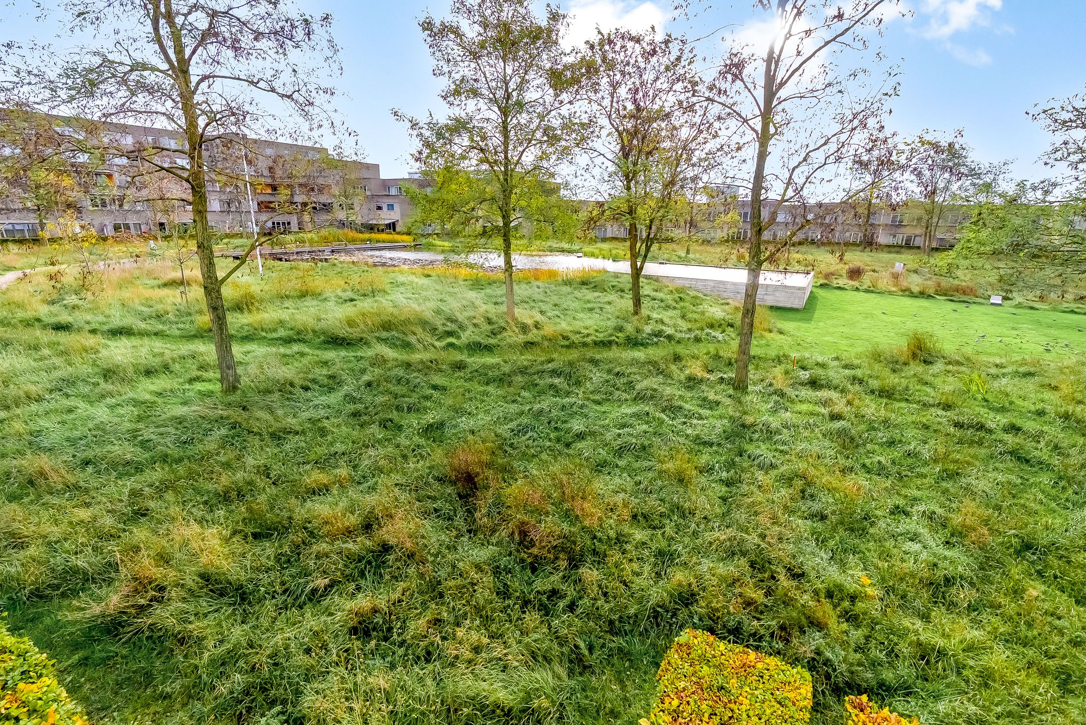 Foto 39 van Thorstraat 13