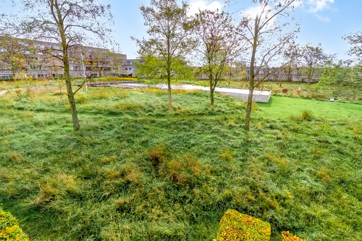 Photo 39 of Thorstraat 13