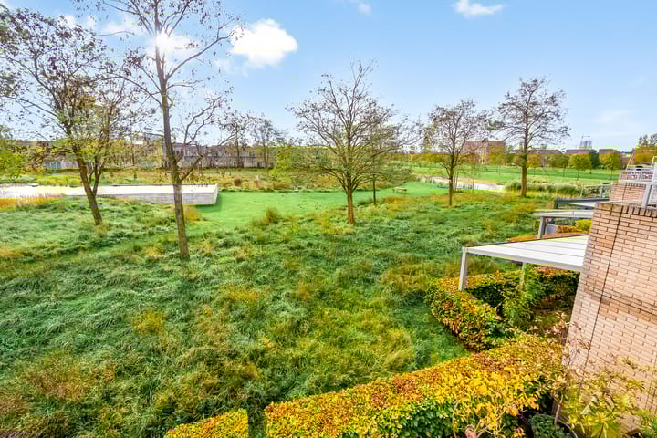 Photo 40 of Thorstraat 13