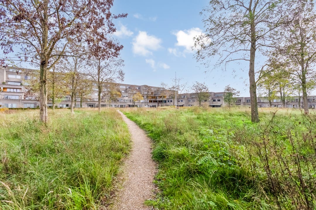 Foto 47 van Thorstraat 13