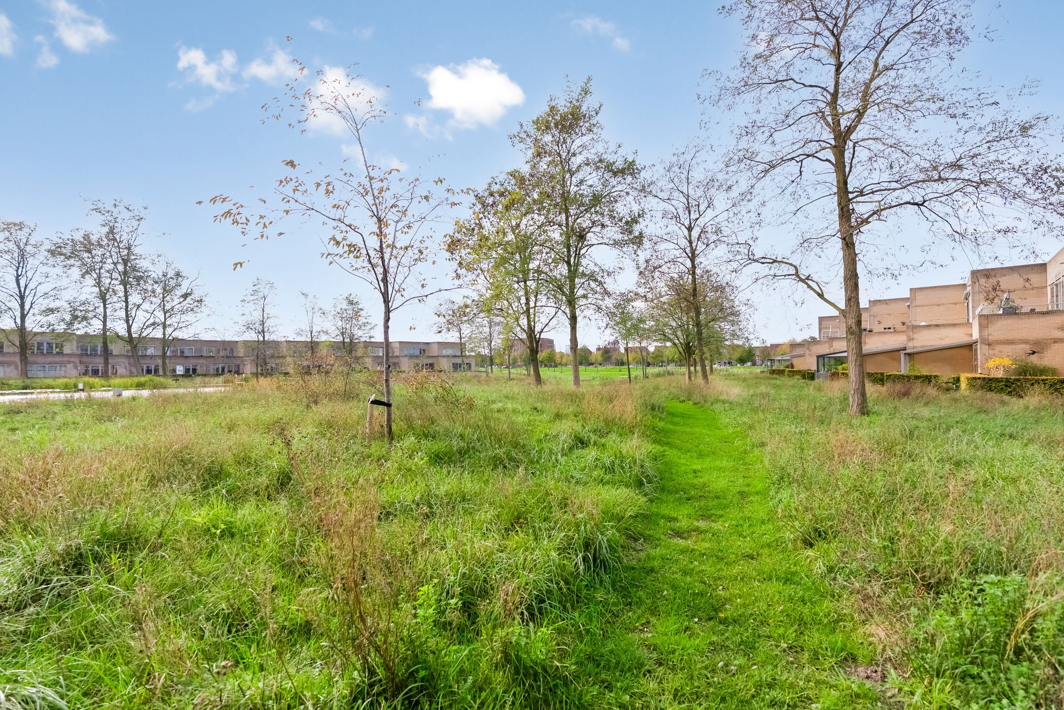 Foto 48 van Thorstraat 13