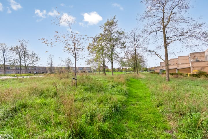 Photo 48 of Thorstraat 13