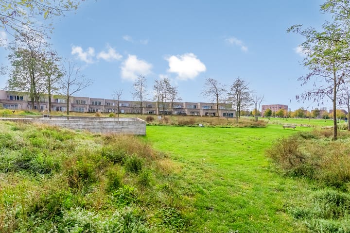 Photo 49 of Thorstraat 13