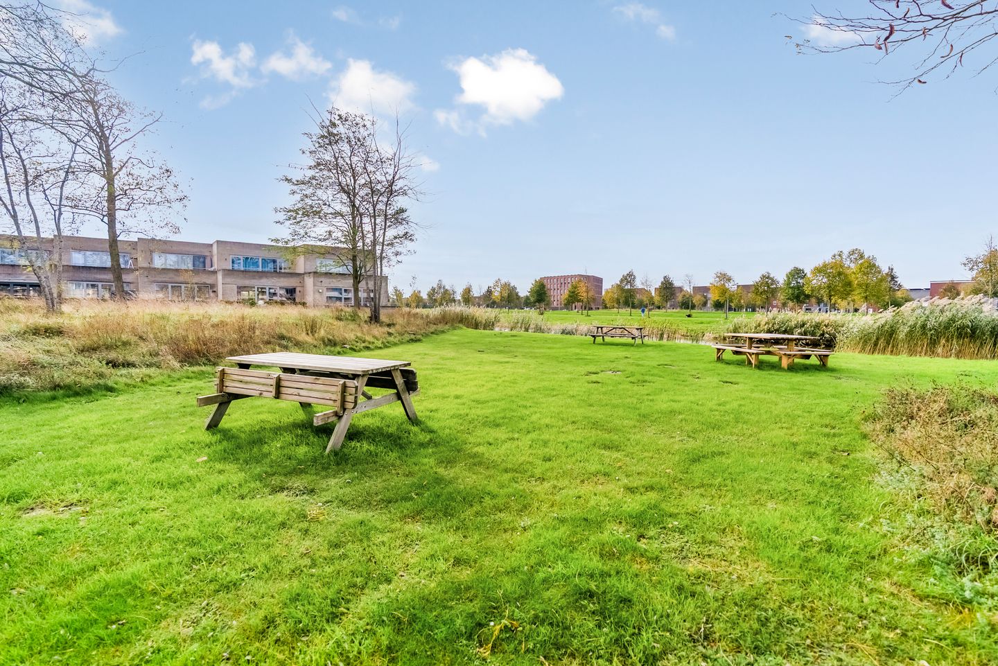 Foto 50 van Thorstraat 13