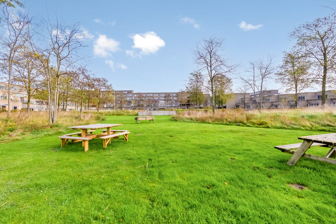 Foto 52 van Thorstraat 13