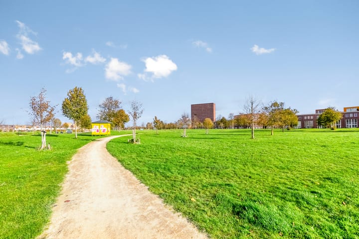 Photo 53 of Thorstraat 13