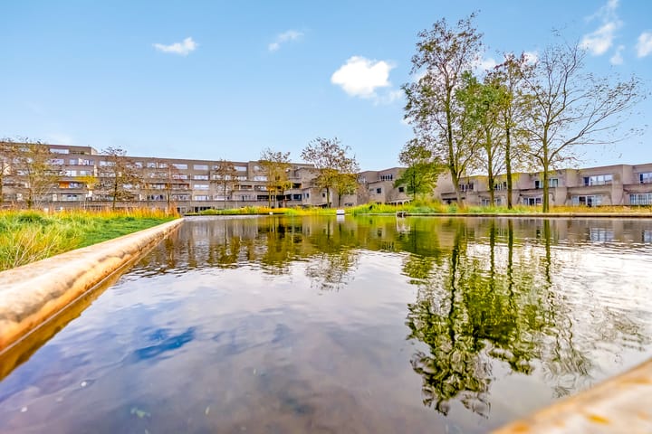 Photo 54 of Thorstraat 13