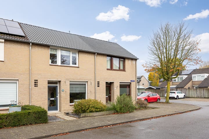 Foto 50 van De Spinster 11