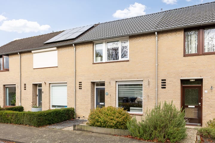 Foto 51 van De Spinster 11