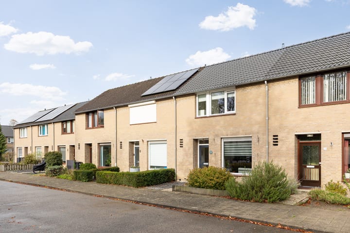 Foto 52 van De Spinster 11