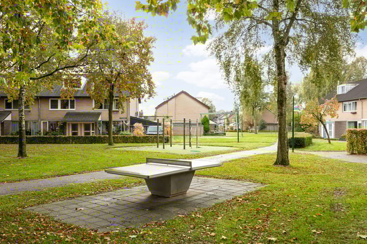 Foto 55 van De Spinster 11