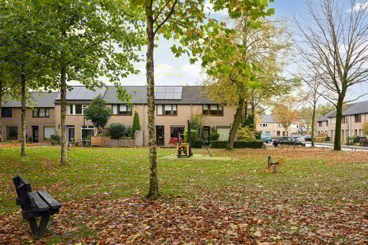 Foto 56 van De Spinster 11