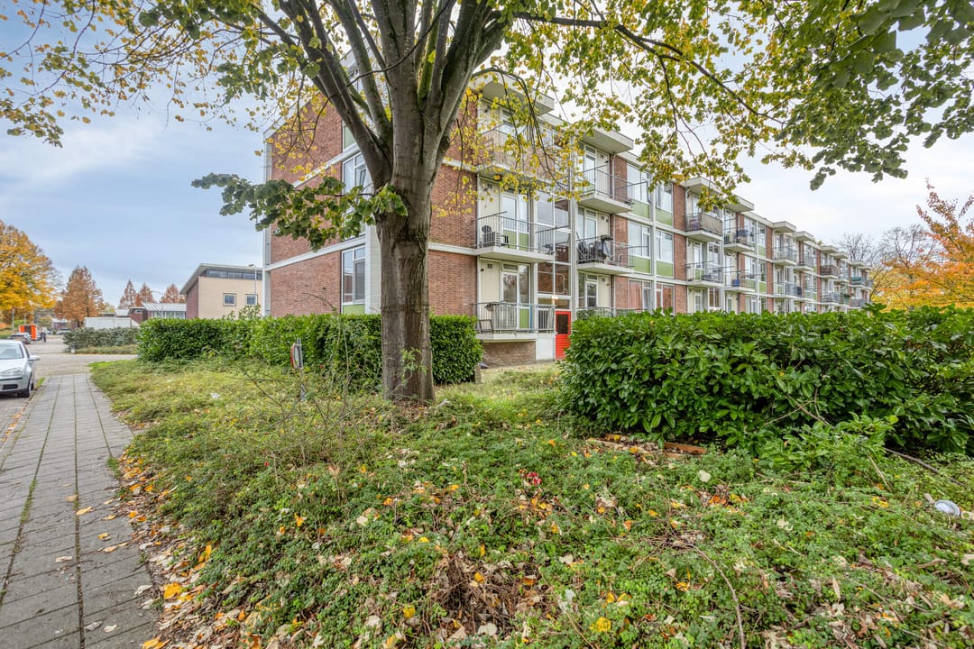 Photo 17 of Ranonkellaan 56-2