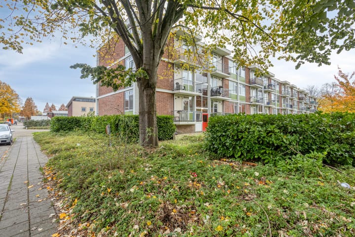 Photo 17 of Ranonkellaan 56-2