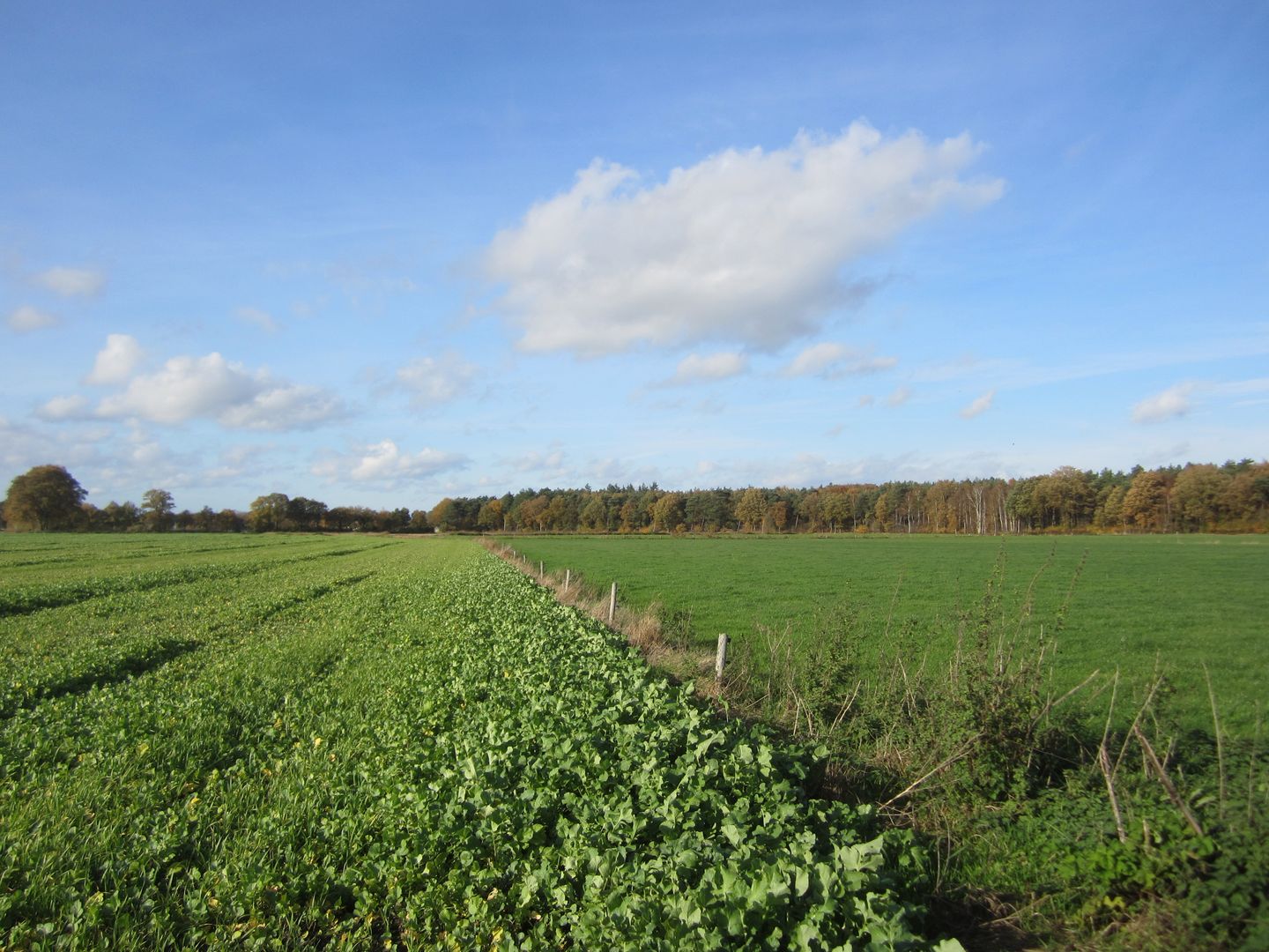 View photo 1 of Weseperenkweg 3