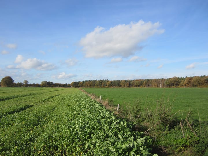 Weseperenkweg 3, Wesepe