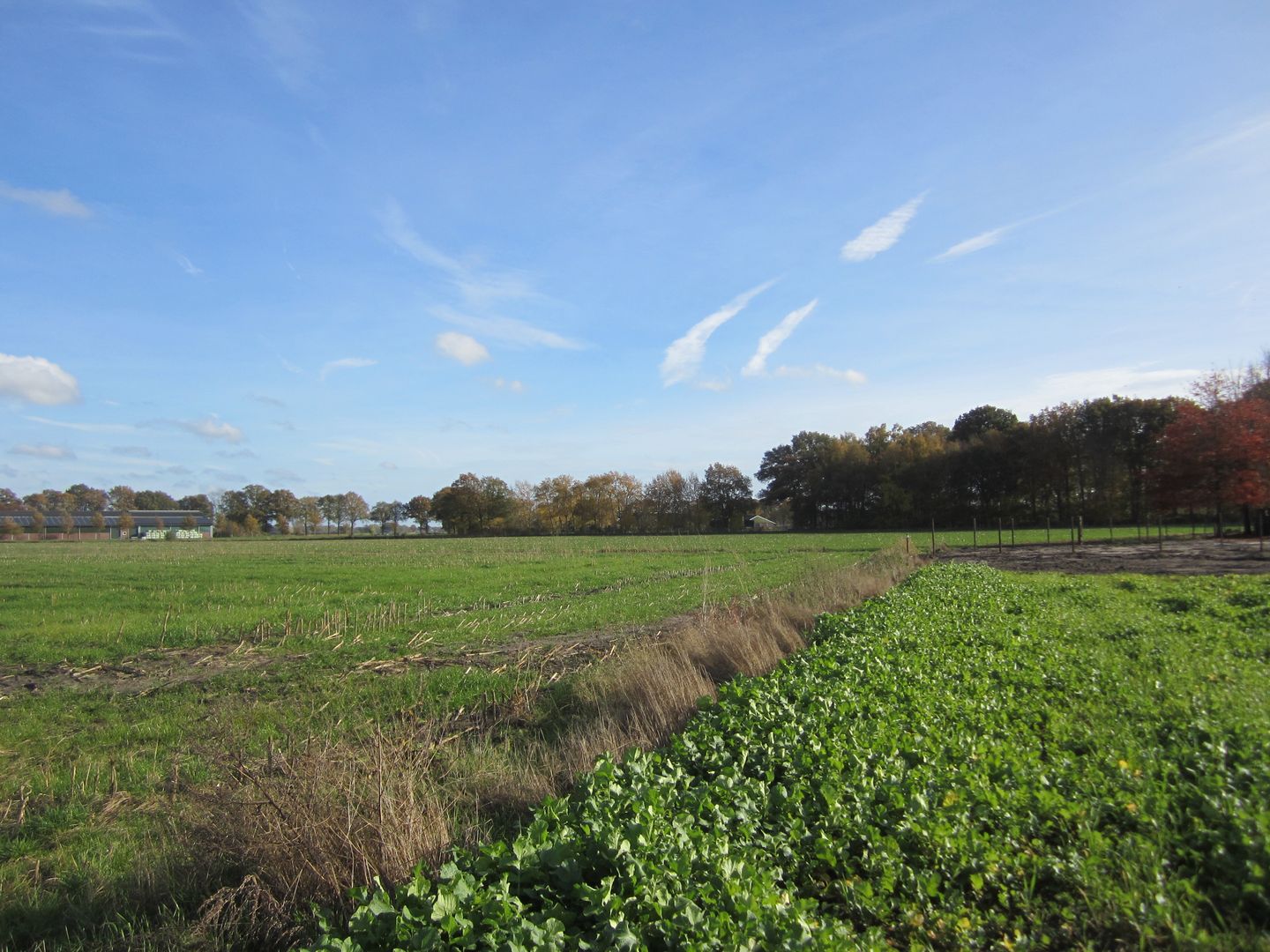 View photo 3 of Weseperenkweg 3