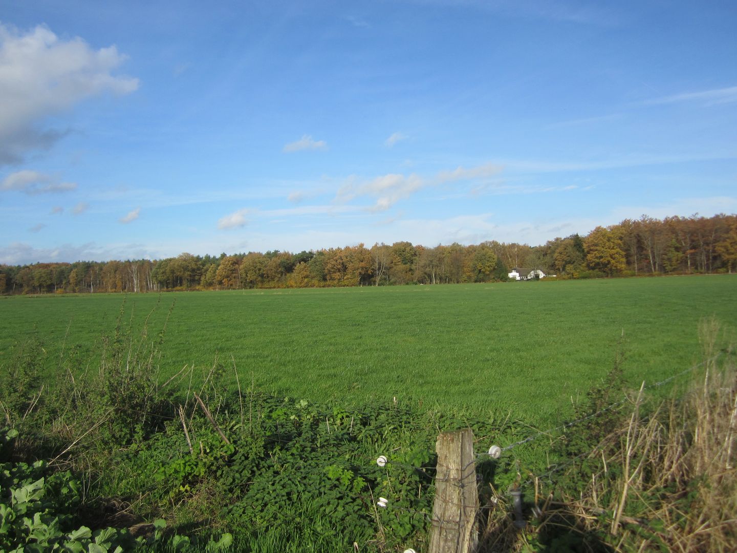 View photo 4 of Weseperenkweg 3