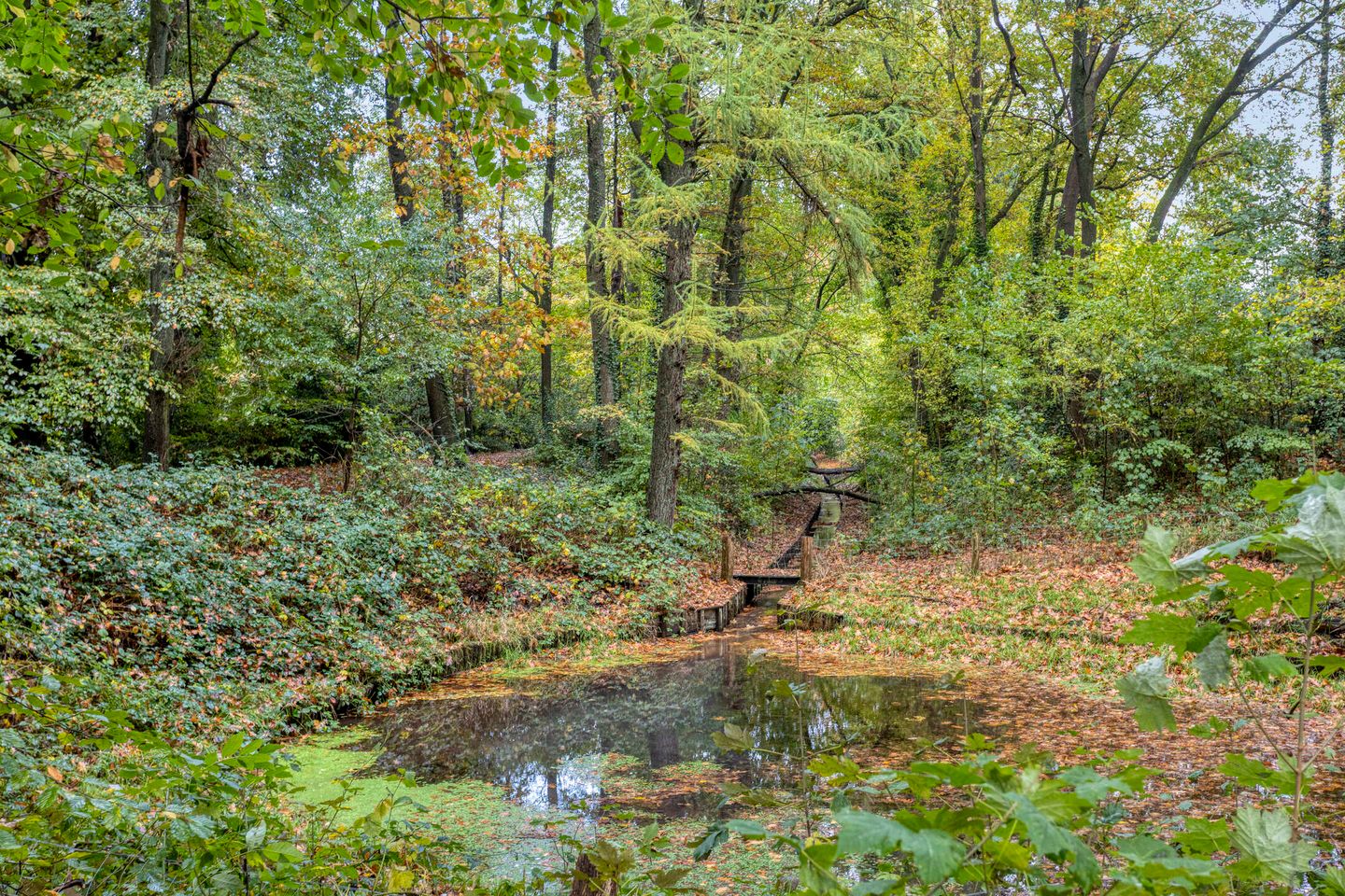 Photo 29 of Kruijderstraat 2